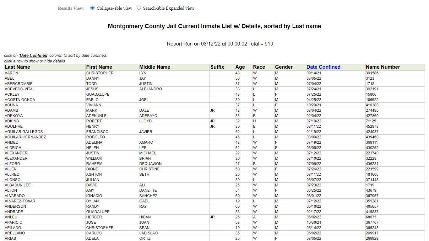 Jail Roster